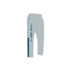 Pants de fisica