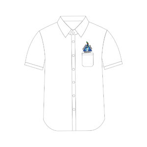 Camisa de diario