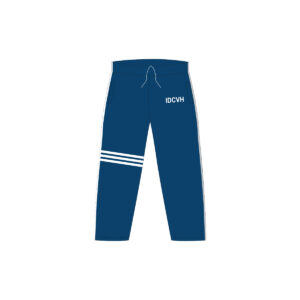 Pants de fisica