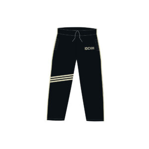 Pants de fisica