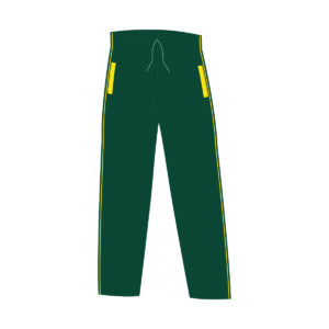 Pants de fisica
