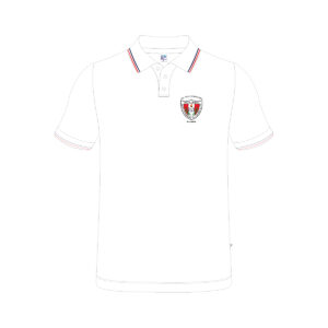 Polo de Diario