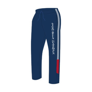 Pants de fisica