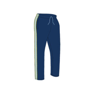 Pants de fisica