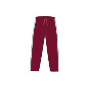 Pants de Física