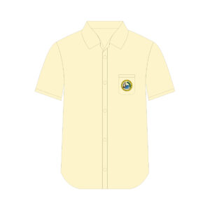 Blusa de diario