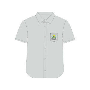 Camisa de diario