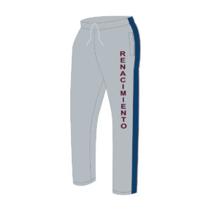 Pants de fisica
