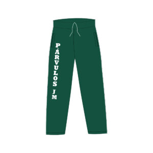 Pants de fisica