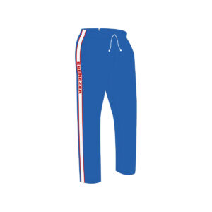 Pants de física