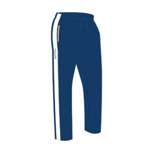 Pants de física