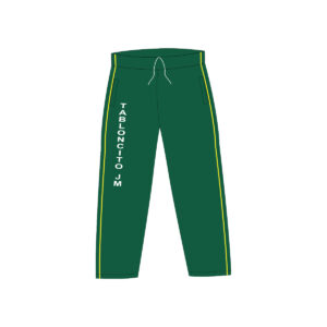 Pants de física