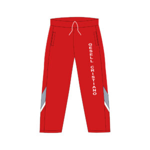 Pants de física