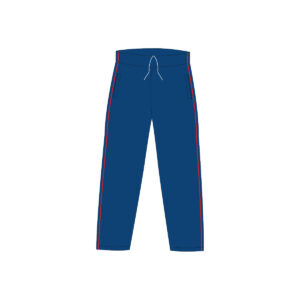 Pants de fisica