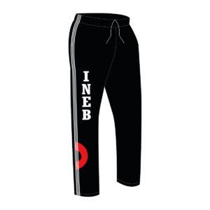 Pants de fisica