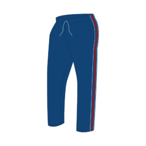 Pants de diario