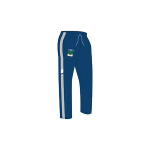 Pants de fisica