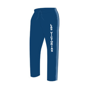 Pants de fisica