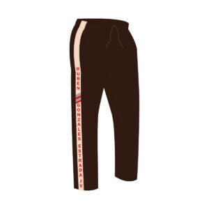 Pants de fisica