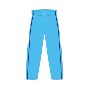 Pants de fisica