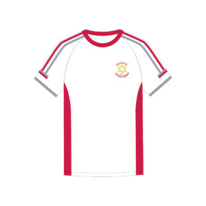 Playera de física