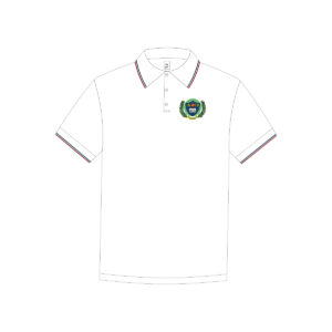 Polo de diario