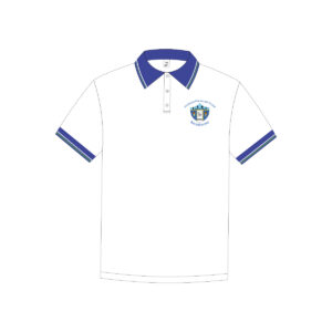 Polo de diario (masculina)