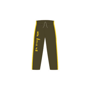 Pants de Física