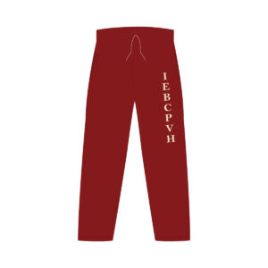 Pants de fisica